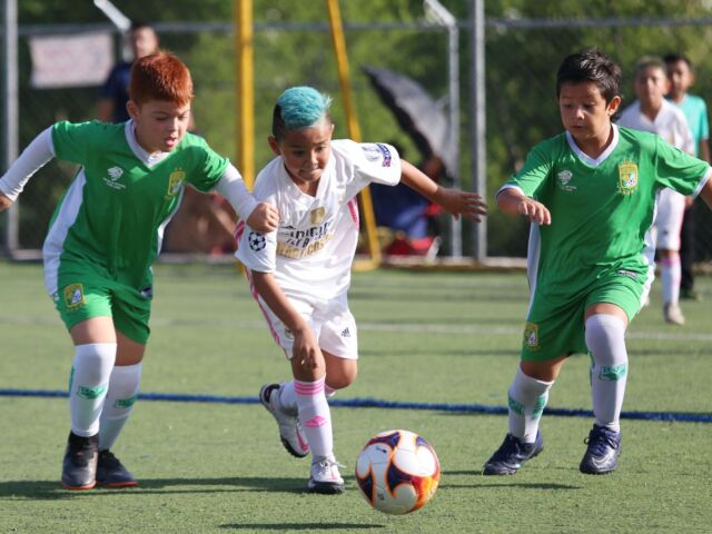 probabilistic-thinking